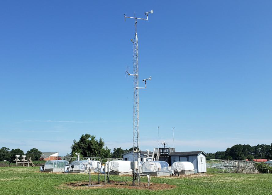 The ECONet station at Lake Wheeler Road Field Lab.
