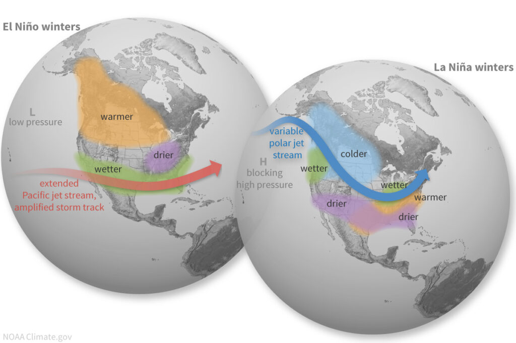 A diagram showing the typical jet stream patterns and impacts to temperature and precipitation across North America in both El Niño and La Niña winters.