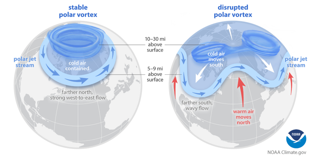 A diagram showing a stable and disrupted polar vortex and its effect on temperatures in the northern hemisphere