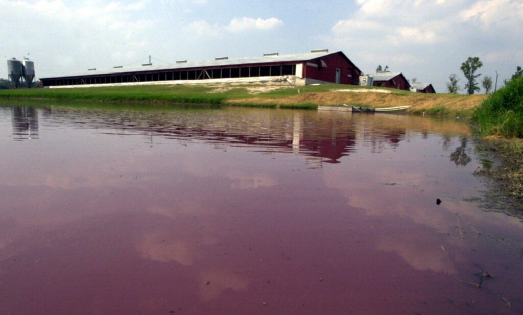 A photo of a flooded hog lagoon in Duplin County after Hurricane Floyd