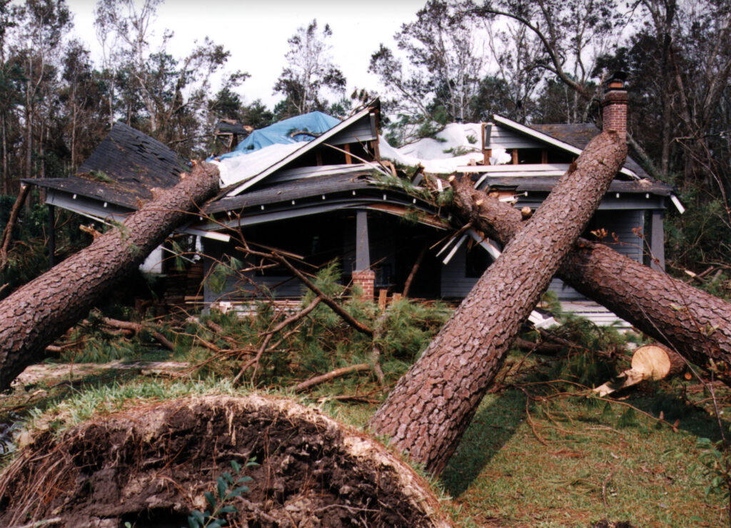 A photo of downed trees fallen on a home after Hurricane Fran