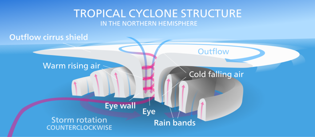 A schematic of a typical tropical cyclone structure in the Northern Hemisphere